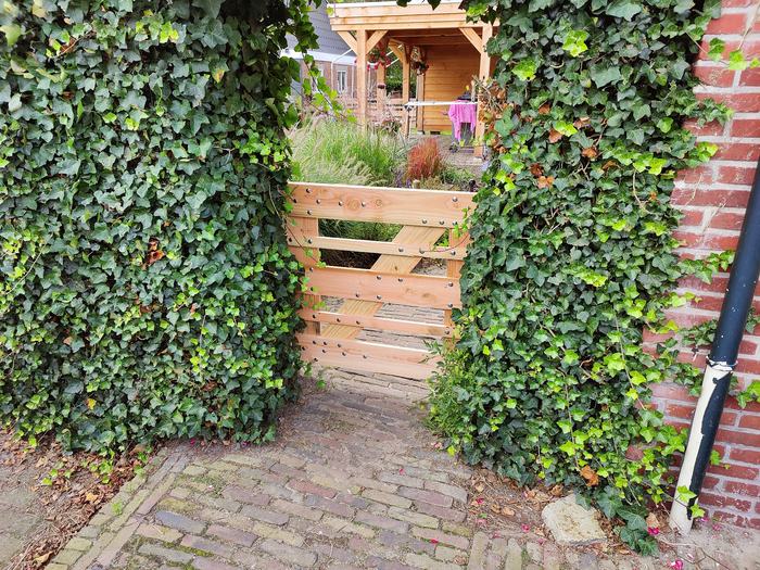 Tuinpoortje in de klimop